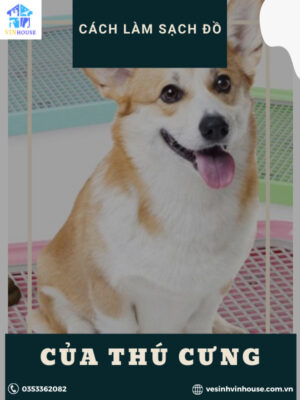 Cách làm sạch đồ dùng của thú cưng